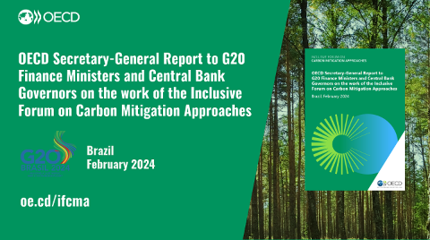 Flyer for G20 report - Brazil 2024